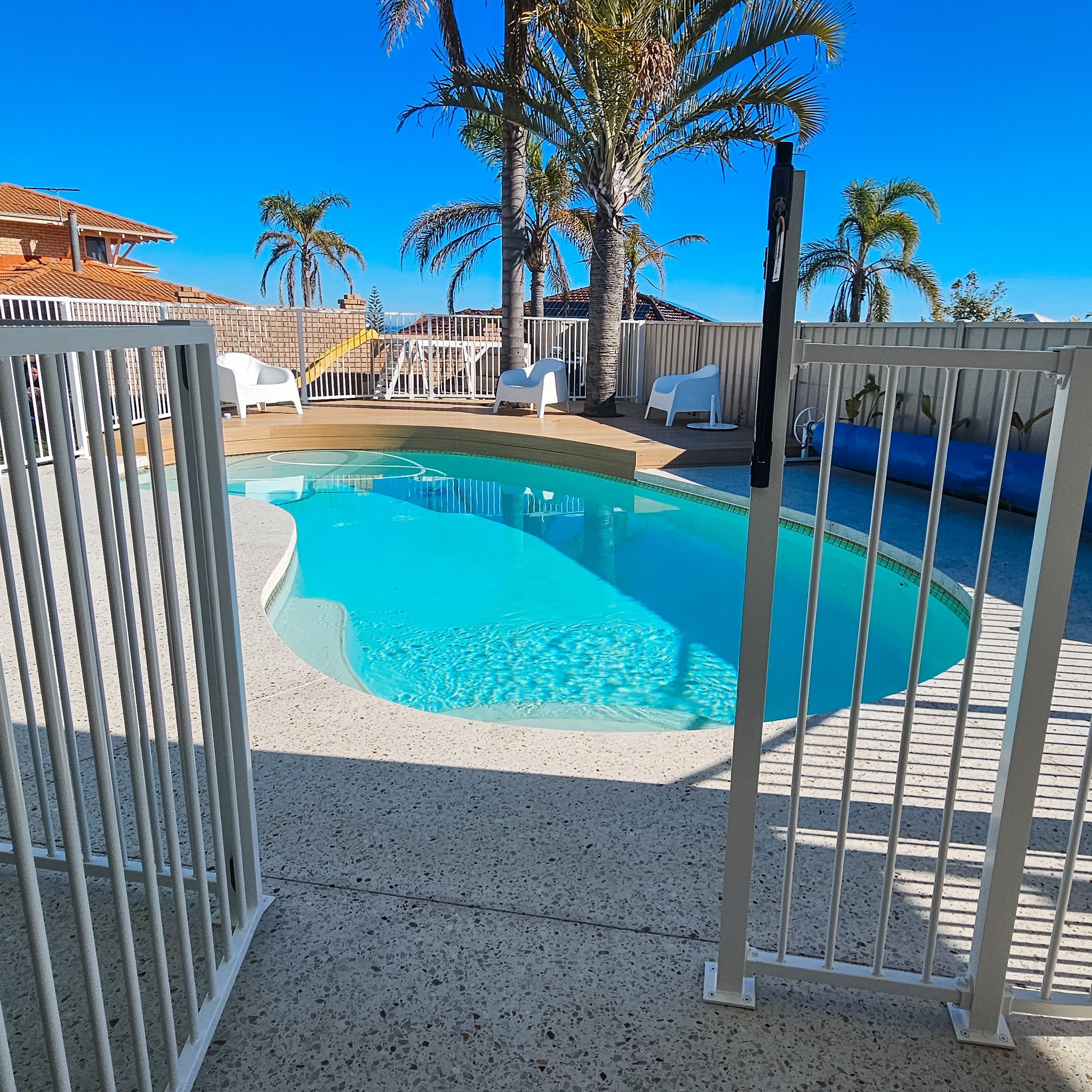 A backyard swimming pool with bright turquoise water, surrounded by an open gate, white fence and concrete deck, with palm trees and a blue sky in the background.