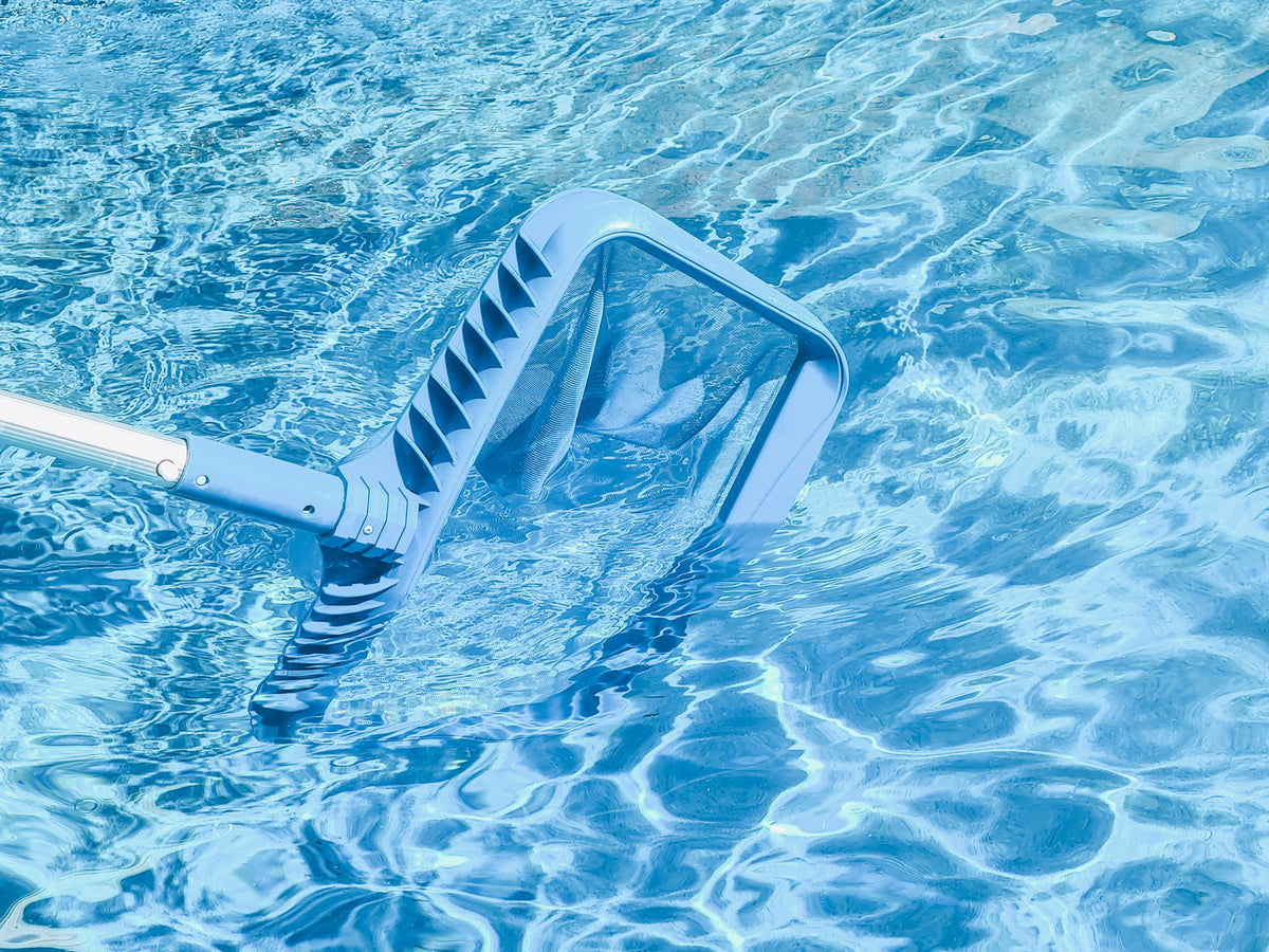 Pool scoop in pool water